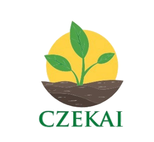 CZEKAI